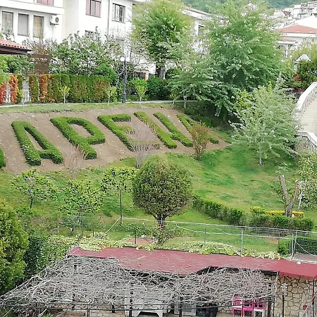 Арена 1 Daire